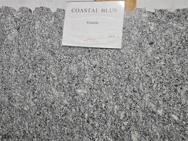 Coastal Blue pol/leather